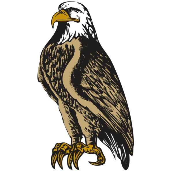 BAW EAG 02 RC Thumbnail