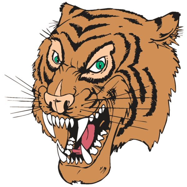 AR TIGER 49 RC Thumbnail